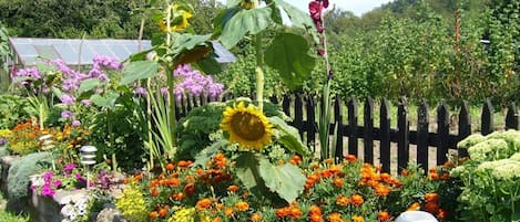 Jardín