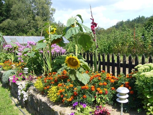 Holiday Home, Oasis of Peace, Polanow