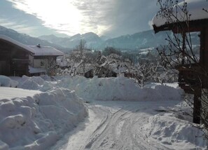 Comfort Apartment, 1 Bedroom | View from property