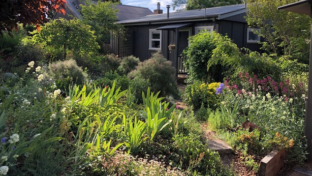 Een huis omgeven door een weelderige tuin met verschillende planten en bloemen.