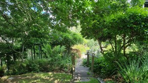 Een tuinpad met een houten brug, omringd door weelderige begroeiing en bomen.