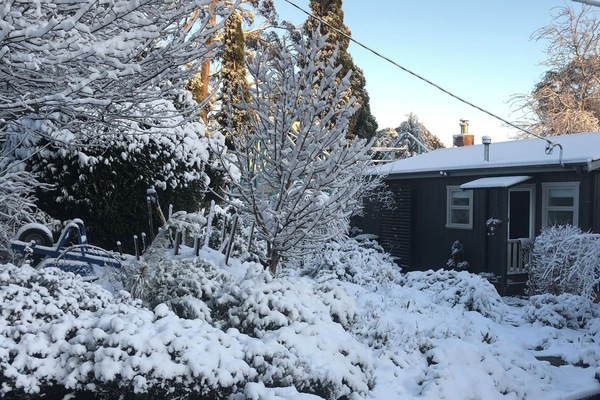 Maisie’s Cottage 2022