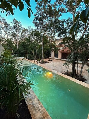 Pool - Private house with pool and lots of space! No neighbors, no construction nearby! (Tulum)