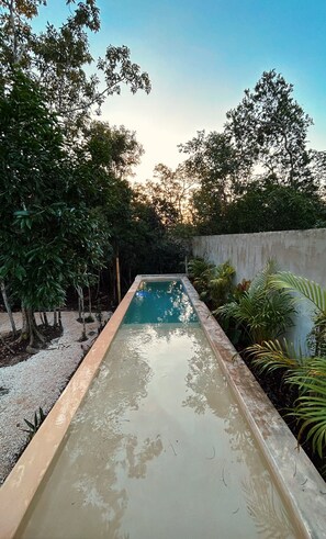 Pool - Private house with pool and lots of space! No neighbors, no construction nearby! (Tulum)