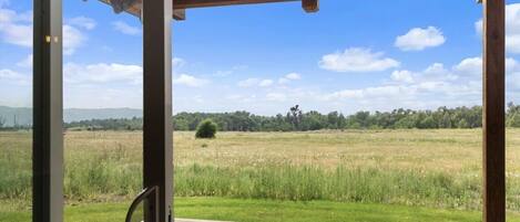 A wooden deck with a view of a grassy field and distant trees under a clear sky.