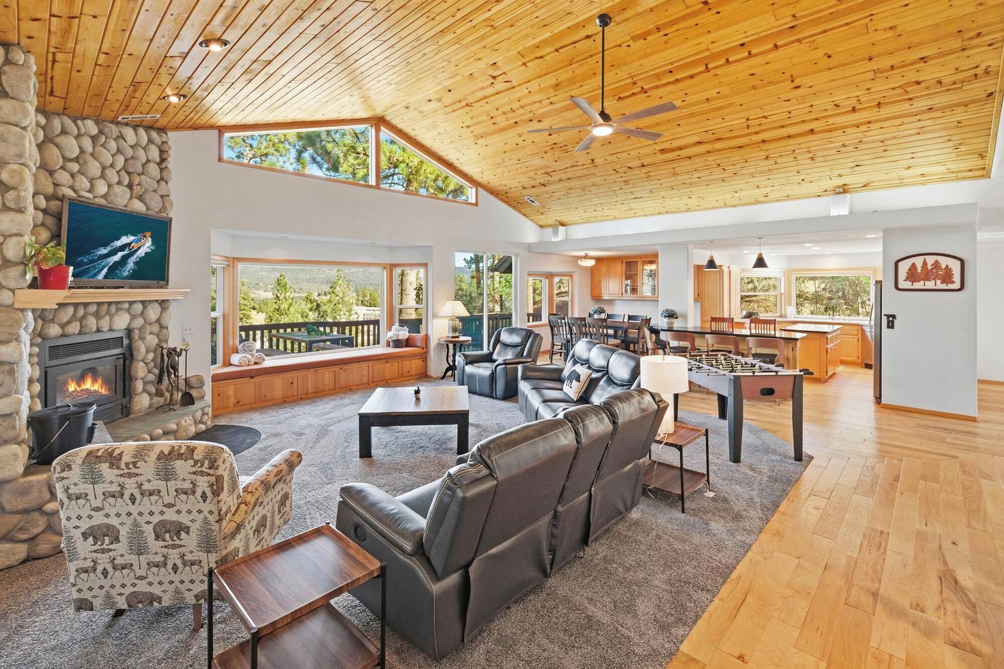 TV, fireplace, foosball