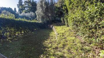 Jardín