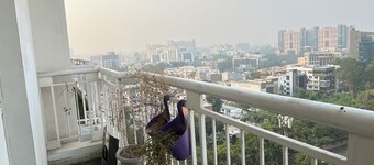 DLF MyPad Calmiya