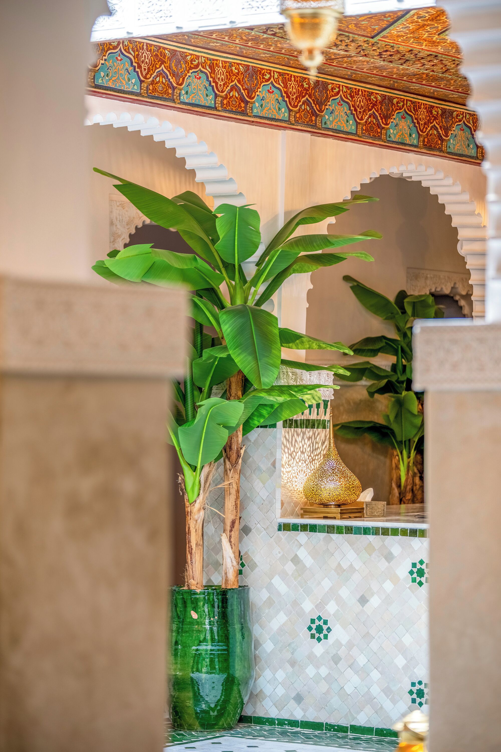 Um interior tradicional com parede azulejada, teto decorativo e uma planta em vaso verde.