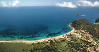 Luxury Apartments Queen