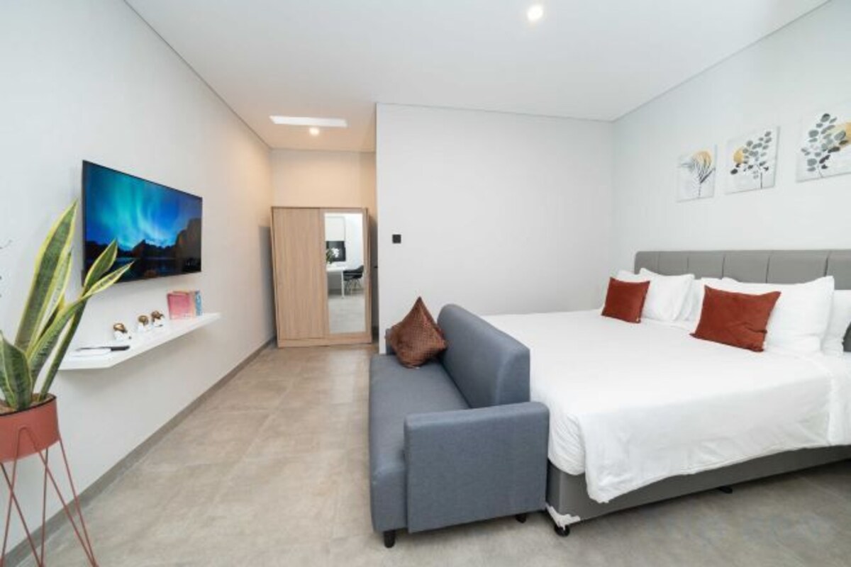 Una camera d'albergo moderna con un letto, una poltrona, una TV e una pianta.