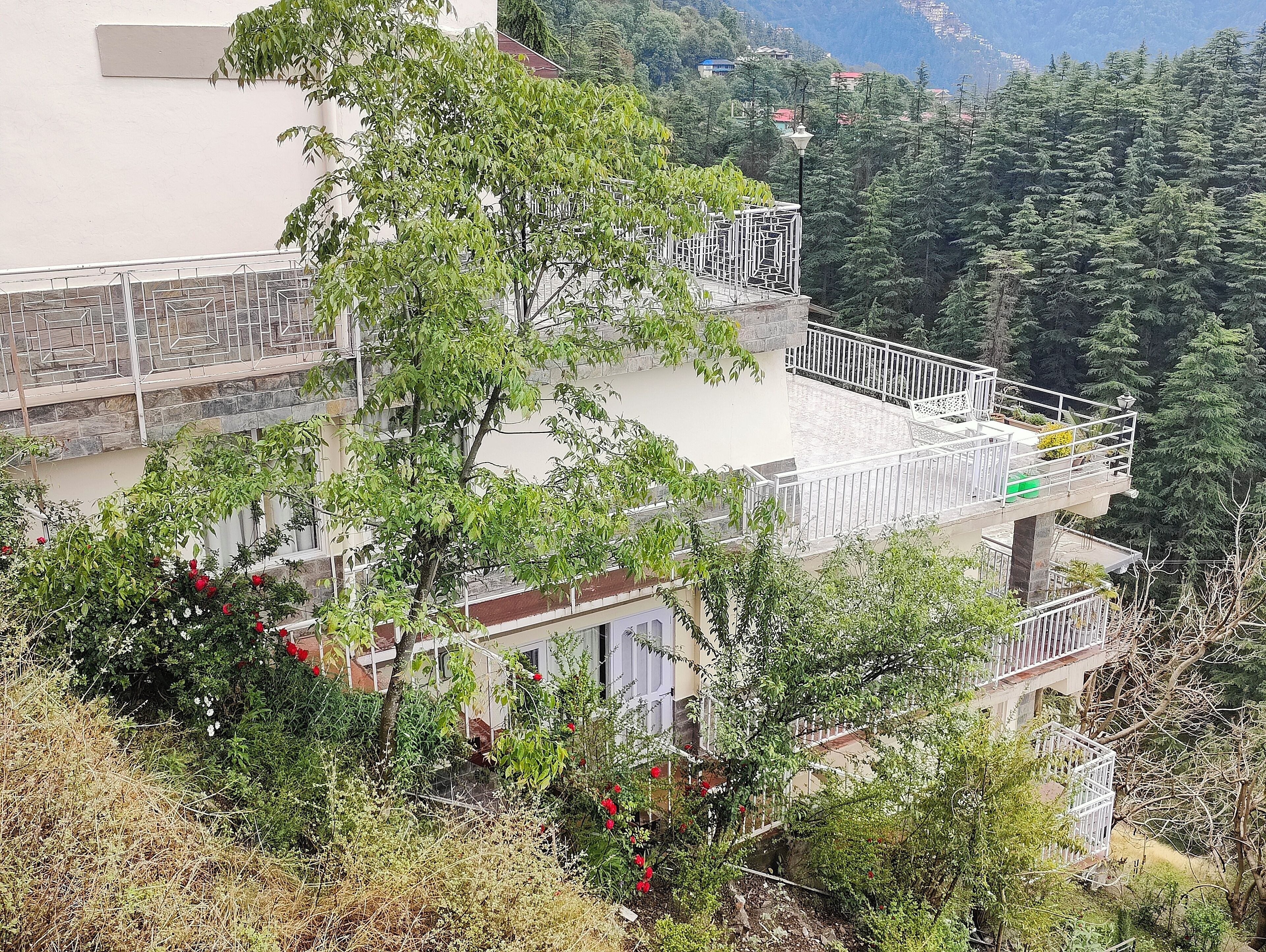 A multi-story building with balconies, surrounded by dense greenery and trees.