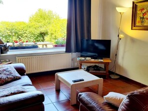 TV, table tennis