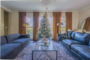 TV, fireplace, offices