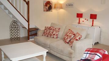 Una televisión, libros