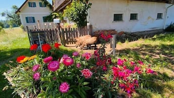 Overnatningsstedets område