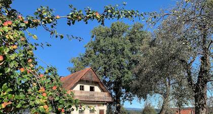 Holiday house St. Martin im Sulmtal for 1 - 3 persons with 1 bedroom - Farmhouse