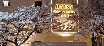 Daisy Hotel