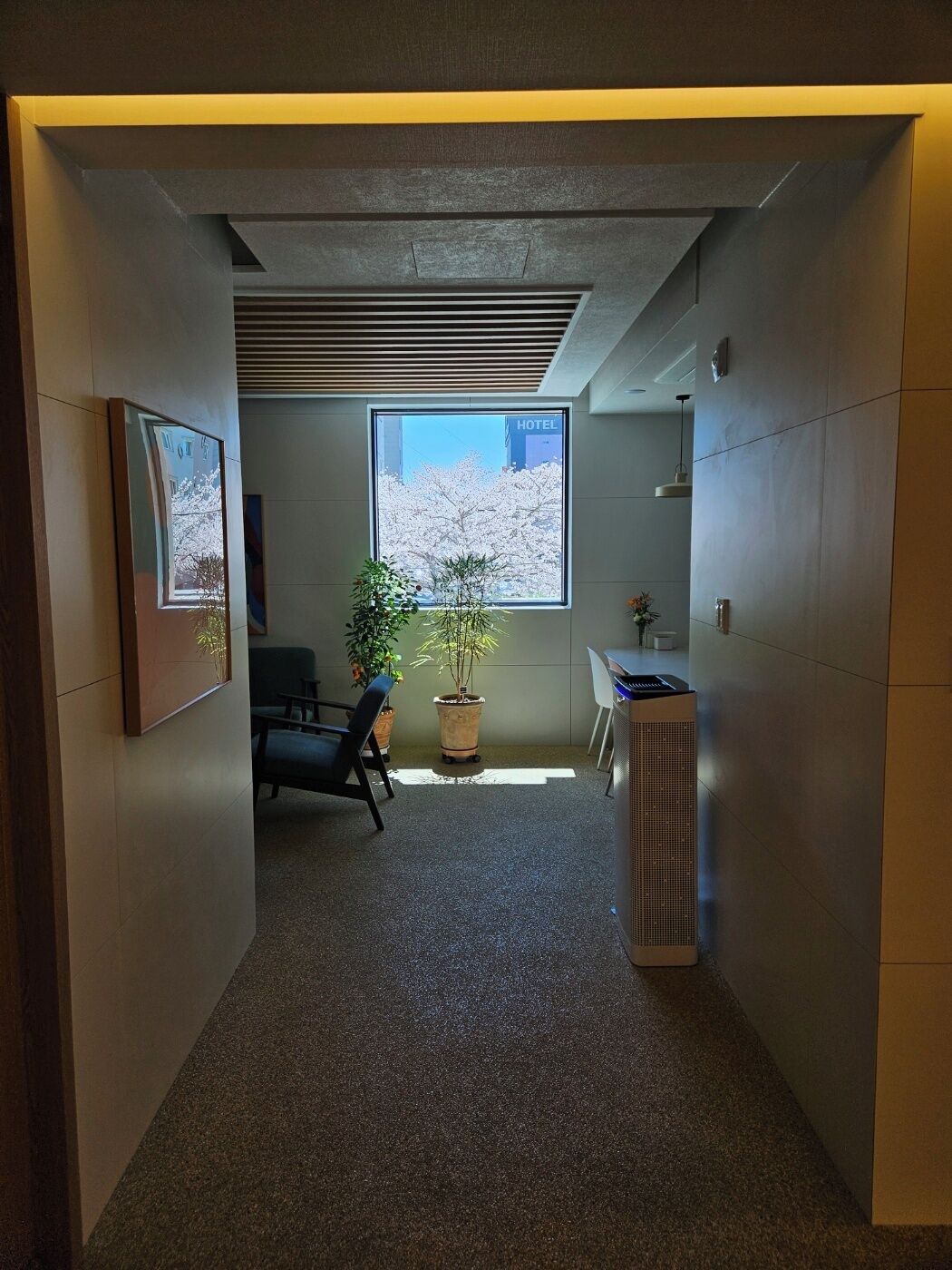 Un couloir avec une grande fenêtre, une plante en pot, une chaise et un radiateur.