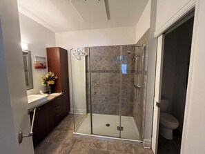 Regadera, secadora de cabello, toallas 