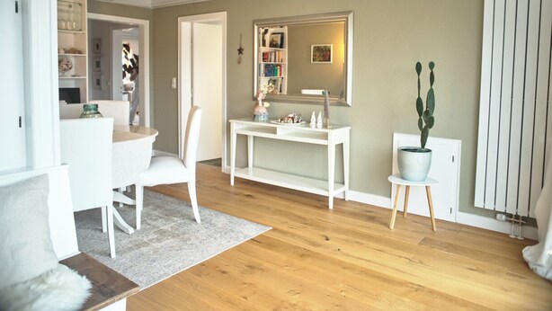 A modern living room with a white console table, a white chair, a small side table with a potted plant, and a large mirror above the console table. - Modern, spacious top-floor apartment with panoramic views of the Elbe (Hollern-Twielenfleth)