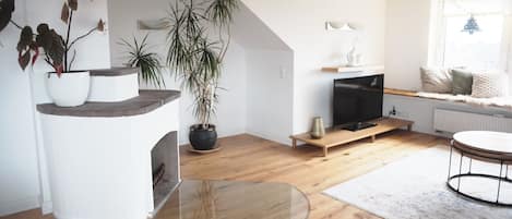 Smart TV, chimenea y libros