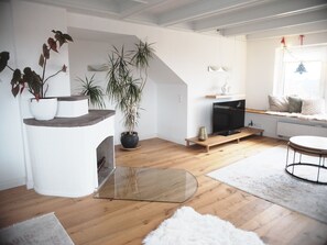 Smart TV, fireplace, books