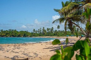 Nära stranden