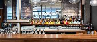 プレミア イン フランクフルト シティ センター