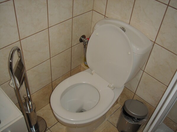 Secadora de cabello, toallas, jabón, papel de baño 