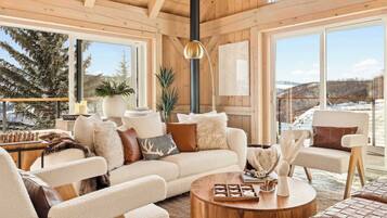 TV, fireplace, video games, offices