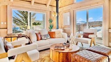 TV, fireplace, video games, offices