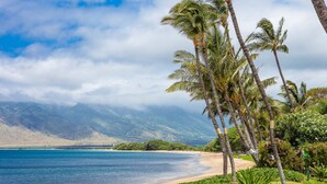 A beach with palm trees and mountains in the background. - Maalaea Surf C10 2 Bedroom Condo (Kihei)