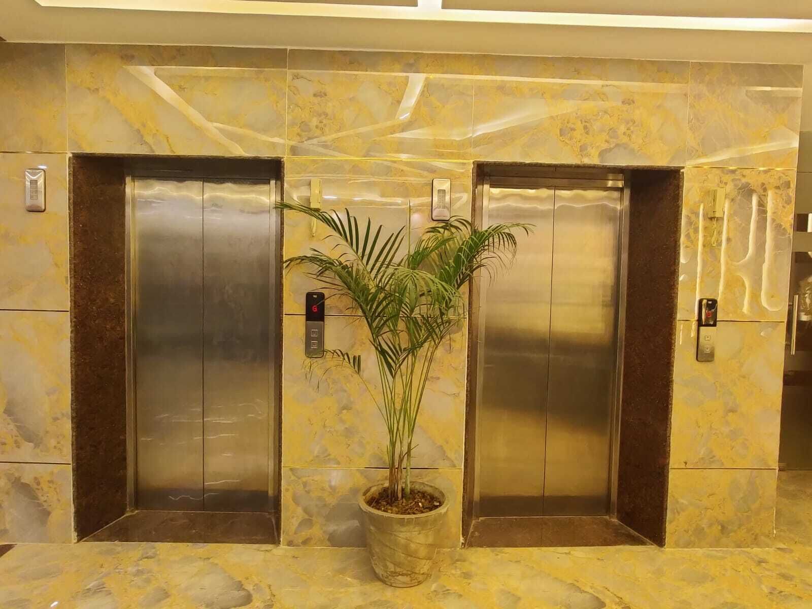 Un ascenseur orné d’une plante en pot au centre, flanqué de deux portes métalliques.