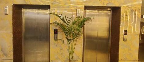 Un ascenseur orné d’une plante en pot au centre, flanqué de deux portes métalliques.