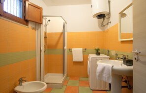 Ducha, secador de pelo, bidé y toallas