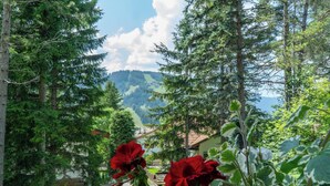A serene garden with red flowers, a wooden bench, and a mountain backdrop. - B&B Villa La Bercia (Marebbe)