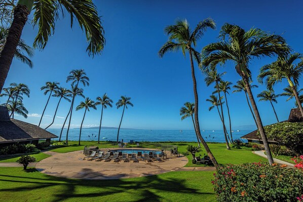 Property grounds - Oceanfront Maui Paradise | Sunsets | Whale Watching | C10 (Kihei)