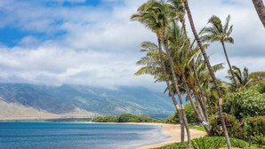 Une plage bordée de palmiers, un ciel dégagé et des montagnes en arrière-plan.