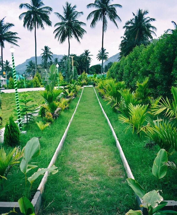 Garden