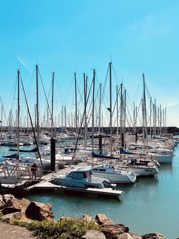 Marina