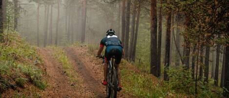 Un sendero en el bosque con un ciclista.