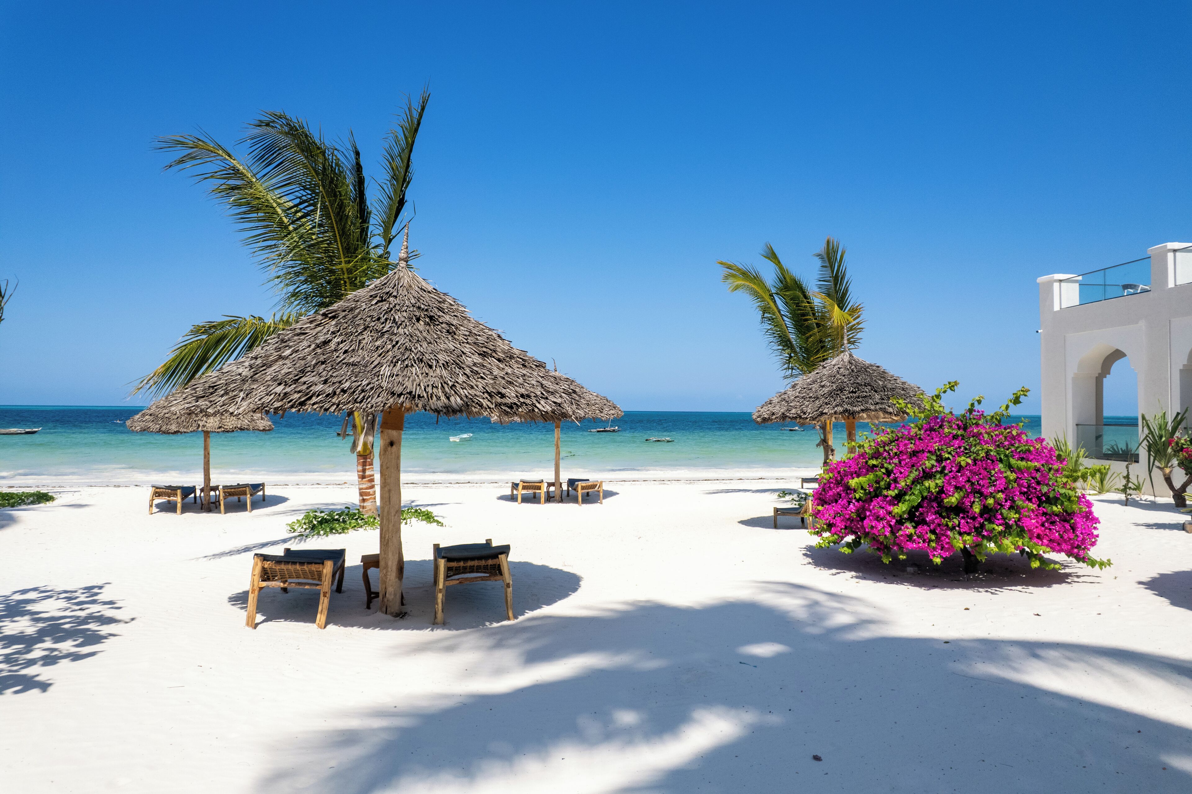 Una playa con sombrillas de paja, sillas de madera y un arbusto de flores rosadas.