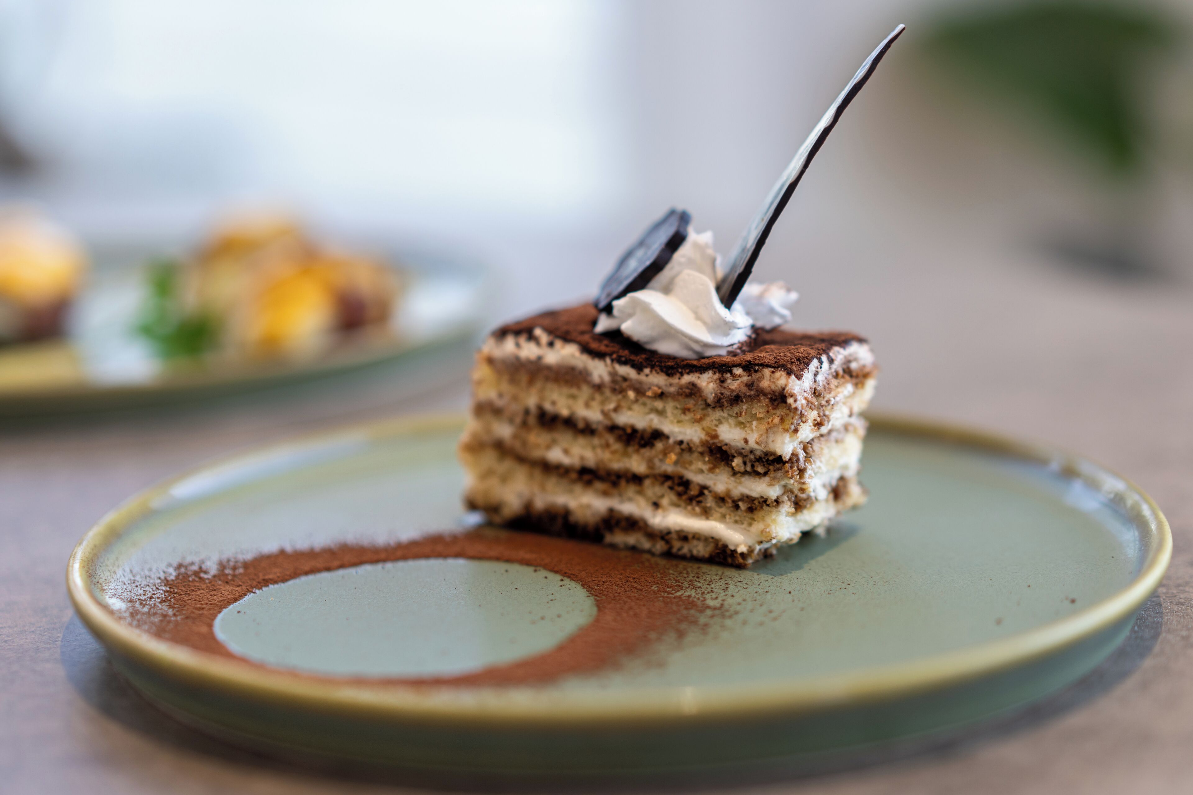 Una porción de pastel en un plato, espolvoreado con cacao.