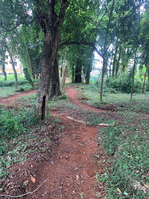 A dirt path surrounded by trees in a natural setting. - vereda bike park hotel (São João del Rei)