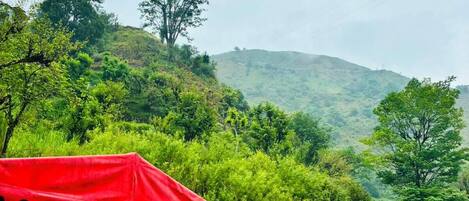 A row of tents with red and blue canopies, green plastic chairs, and a hilly landscape in the background.