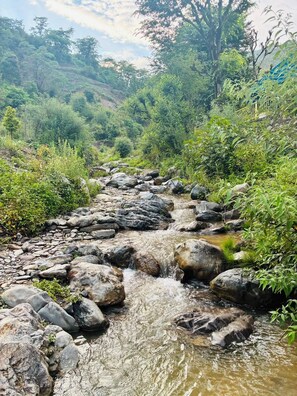 Un arroyo natural con rocas y follaje.