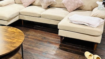 Smart TV, fireplace, DVD player, books