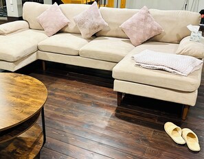 Smart TV, fireplace, DVD player, books