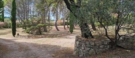 Een aangelegde tuin met stenen muren en diverse bomen.